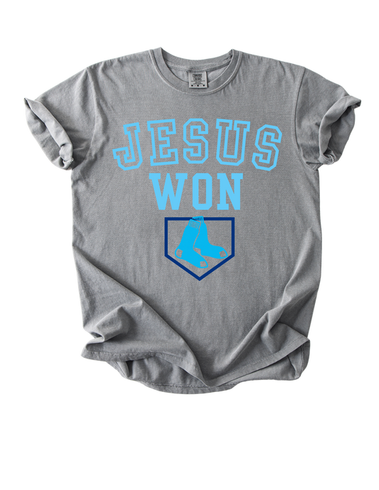 AquaSox Baseball Tee (Gray)