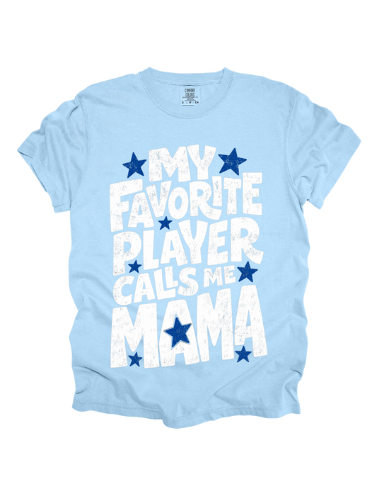 AquaSox Baseball Tee (Light Blue)
